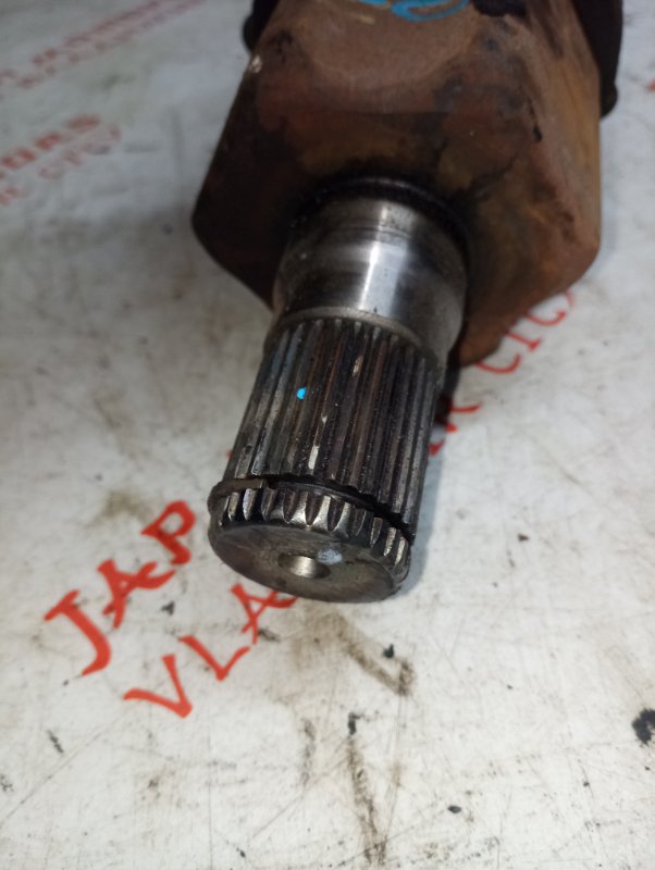 Привод, 5000 рублей, Владимир