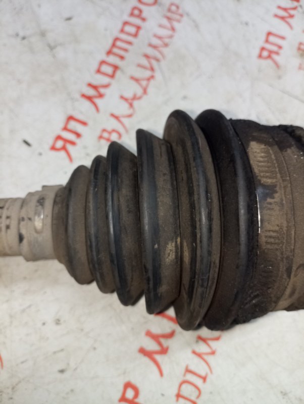 Привод, 3500 рублей, Владимир