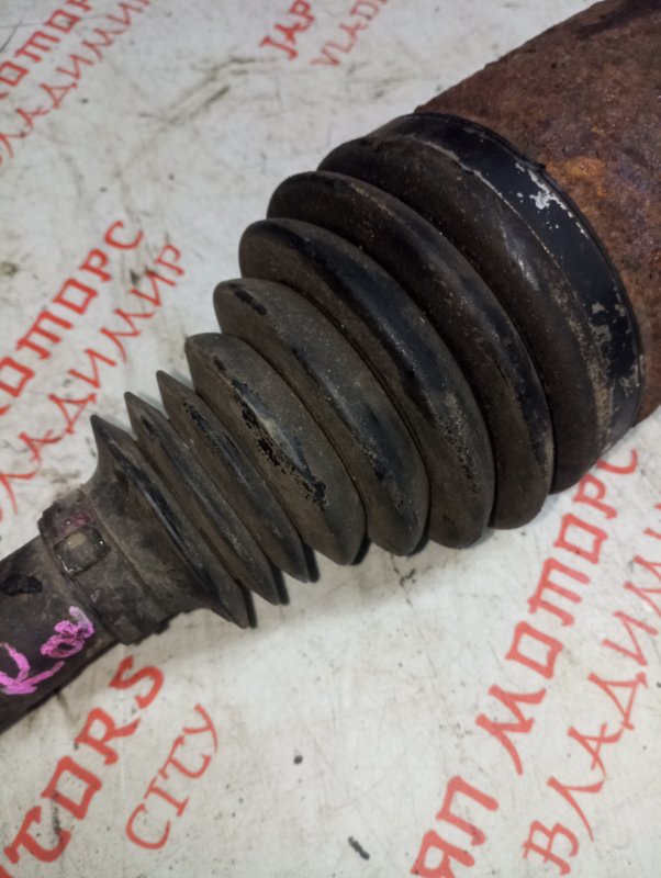 Привод, 6000 рублей, Владимир