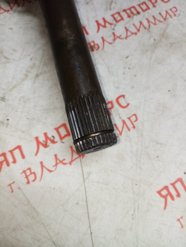 Привод, 6000 рублей, Владимир