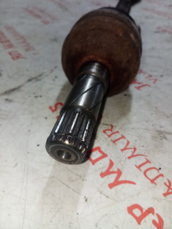 Привод, 4000 рублей, Владимир