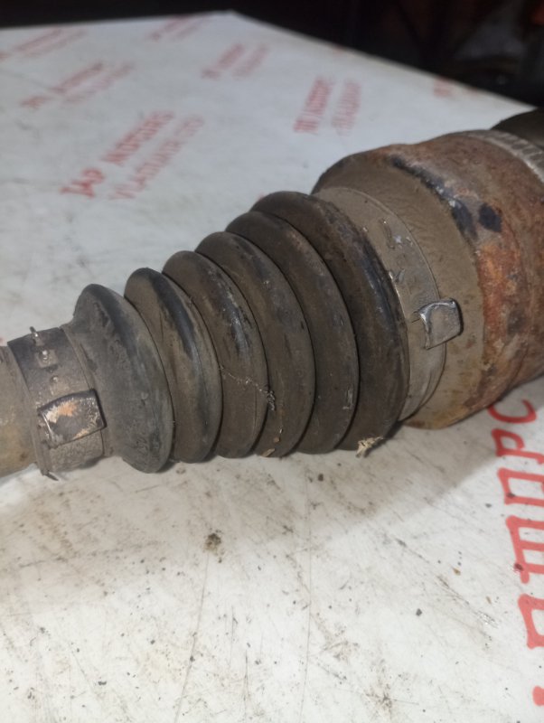 Привод, 4000 рублей, Владимир