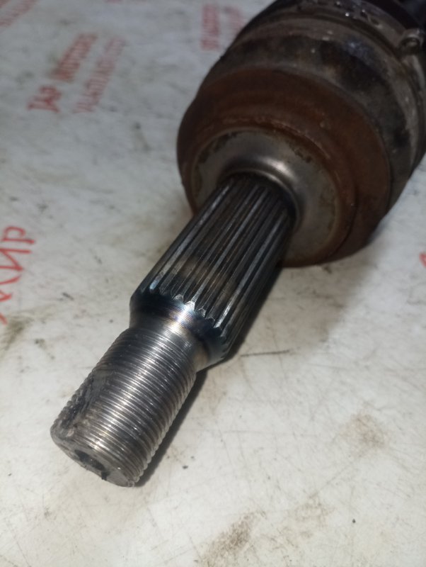 Привод, 3500 рублей, Владимир