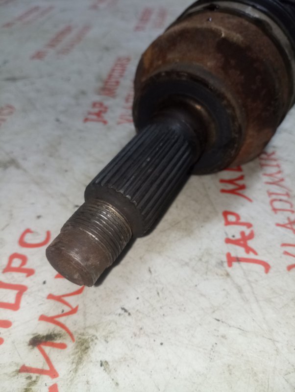 Привод, 5000 рублей, Владимир