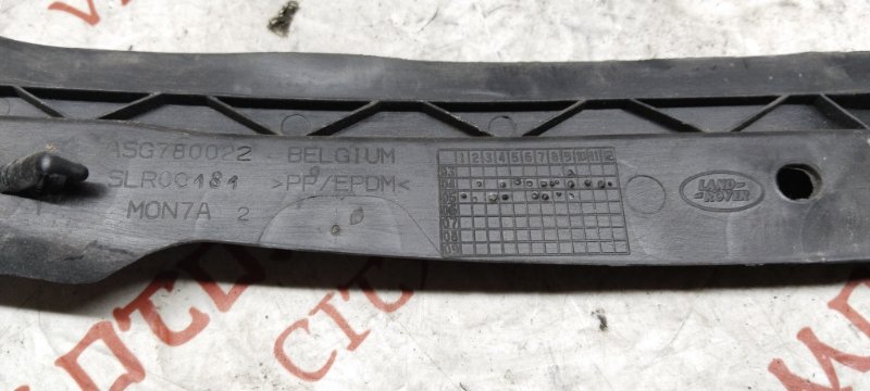 Пыльник крыла, 1000 рублей, Владимир