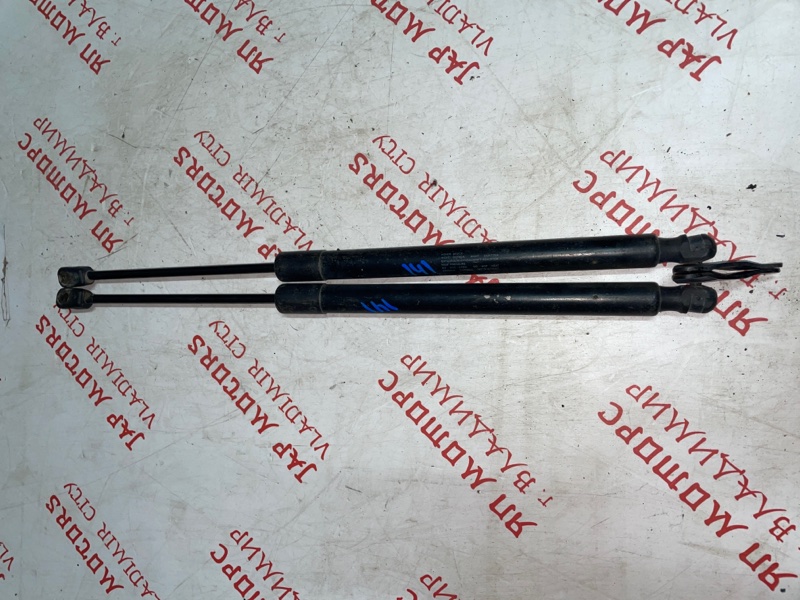 Амортизатор крышки багажника, 1000 рублей, Владимир