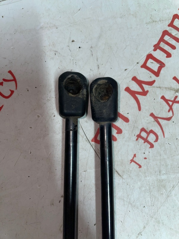 Амортизатор крышки багажника, 1000 рублей, Владимир