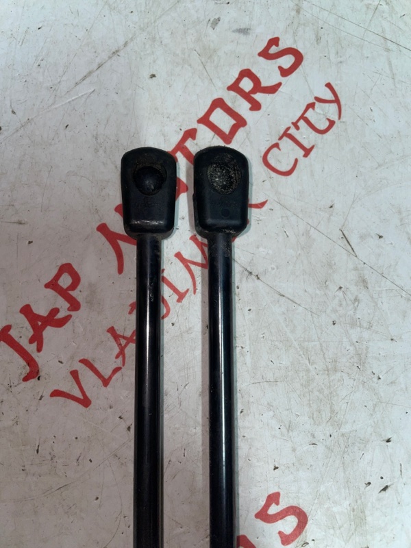 Амортизатор крышки багажника, 1000 рублей, Владимир