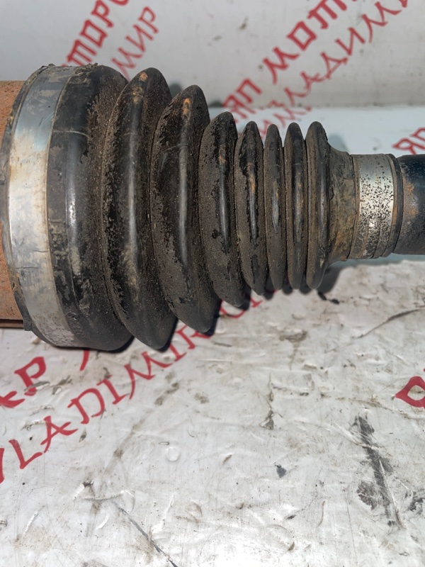 Привод, 5000 рублей, Владимир