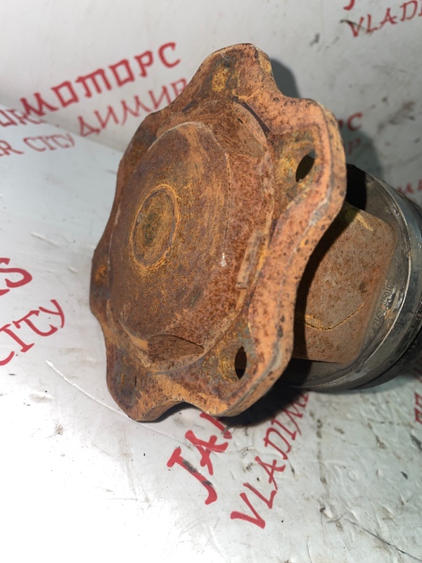 Привод, 5000 рублей, Владимир