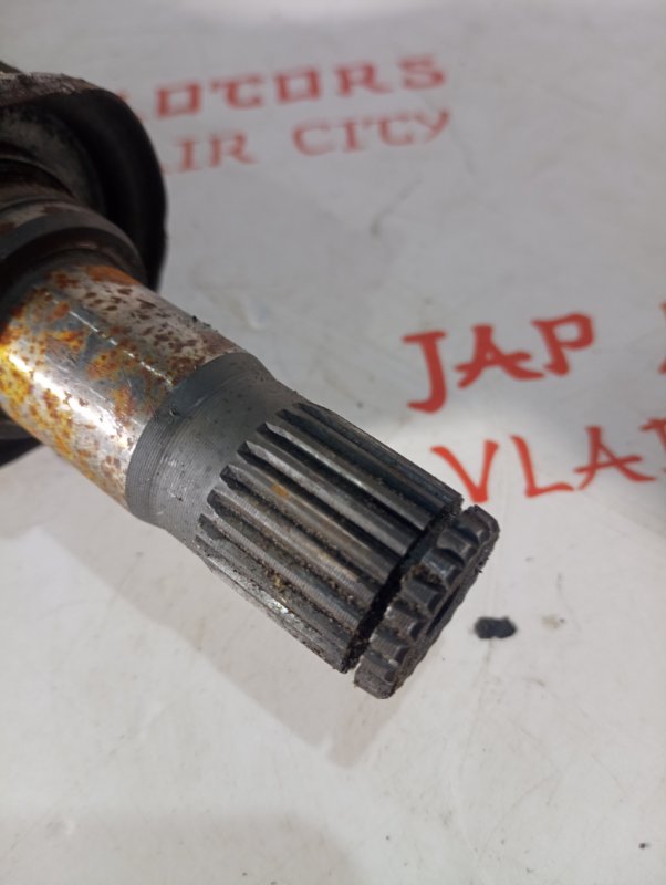 Привод, 5000 рублей, Владимир