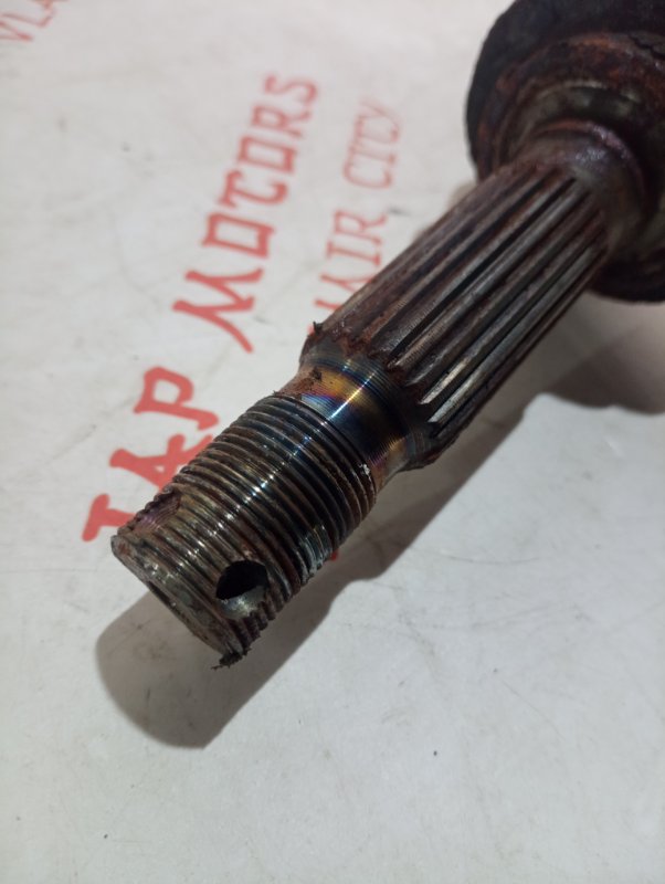 Привод, 5000 рублей, Владимир