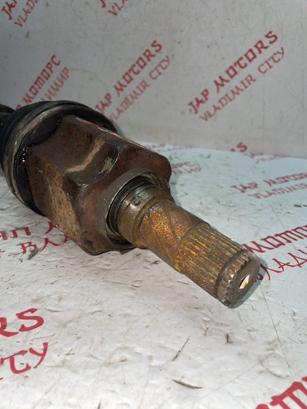 Привод, 5000 рублей, Владимир