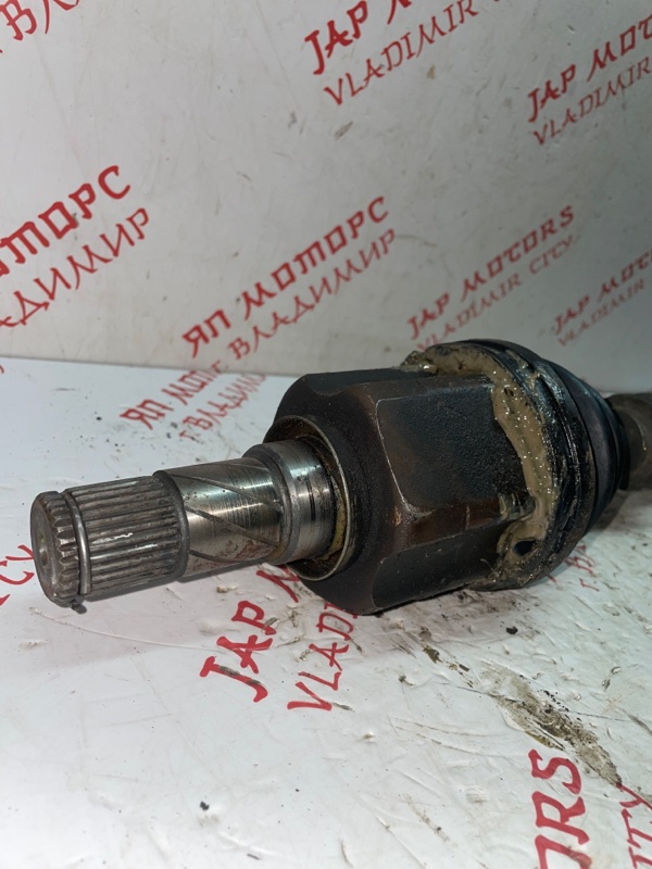 Привод, 5000 рублей, Владимир