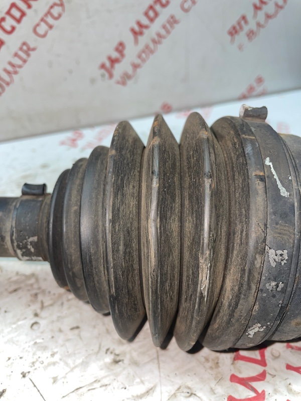 Привод, 5000 рублей, Владимир