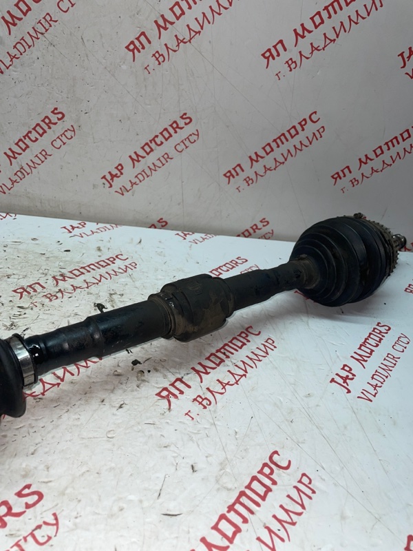 Привод, 6500 рублей, Владимир