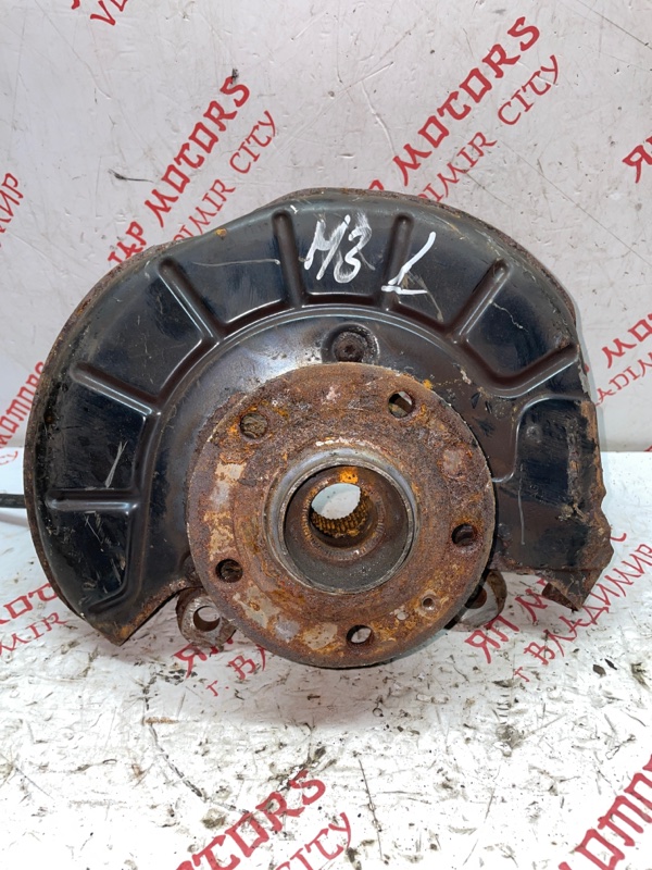 Кулак поворотный, 2000 рублей, Владимир