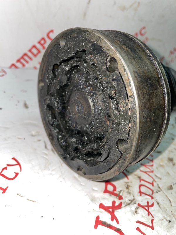 Привод, 4000 рублей, Владимир