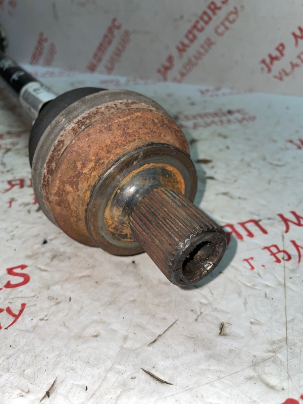 Привод, 4000 рублей, Владимир