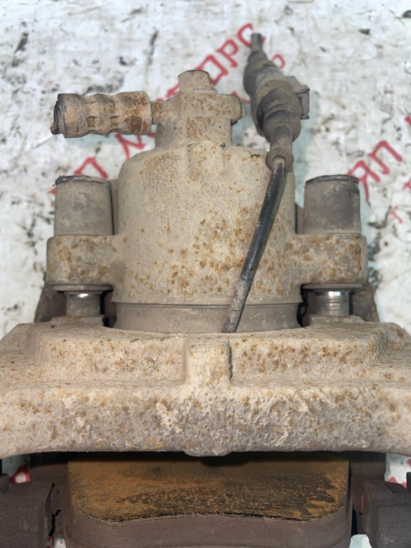 Суппорт тормозной, 2500 рублей, Владимир