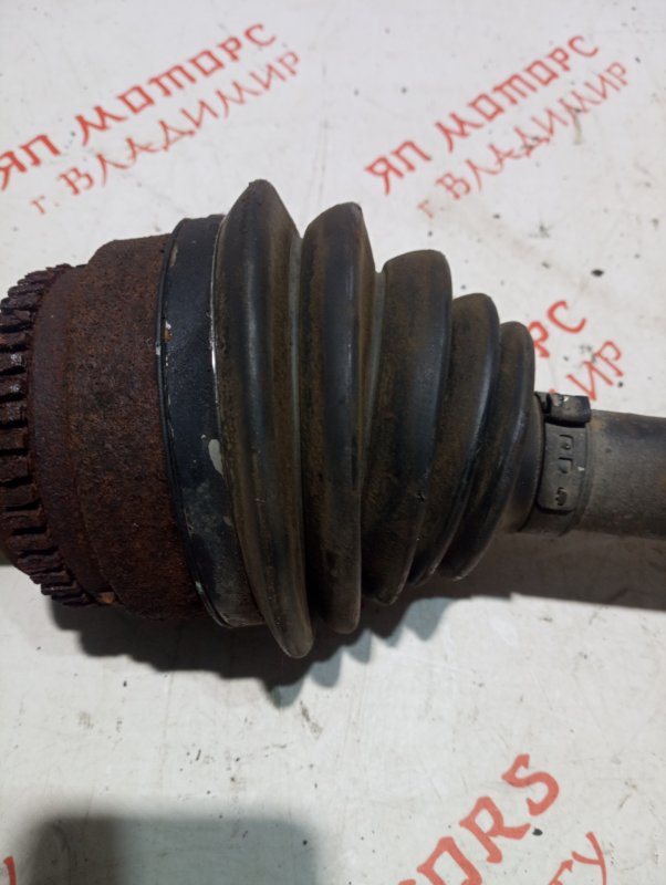 Привод, 5000 рублей, Владимир