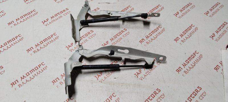 Петля капота, 1500 рублей, Владимир