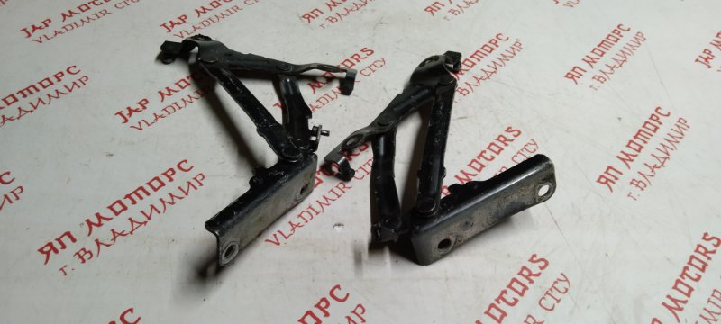 Петля капота, 1000 рублей, Владимир