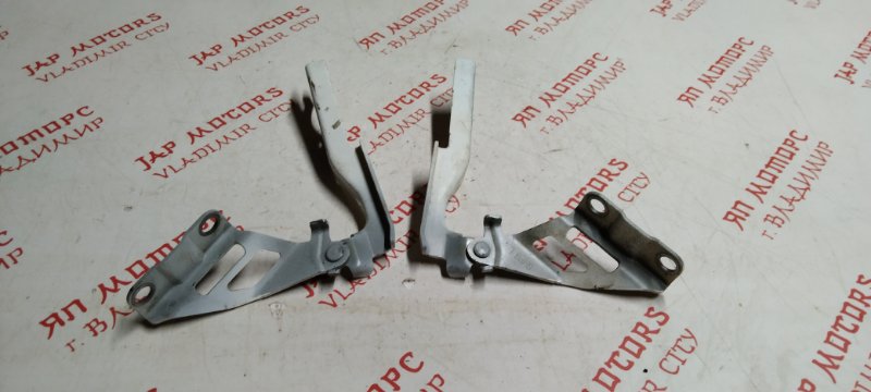 Петля капота, 2000 рублей, Владимир