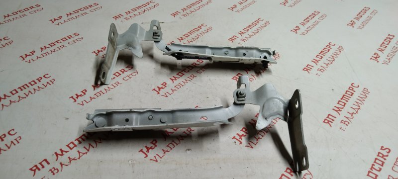 Петля капота, 2000 рублей, Владимир