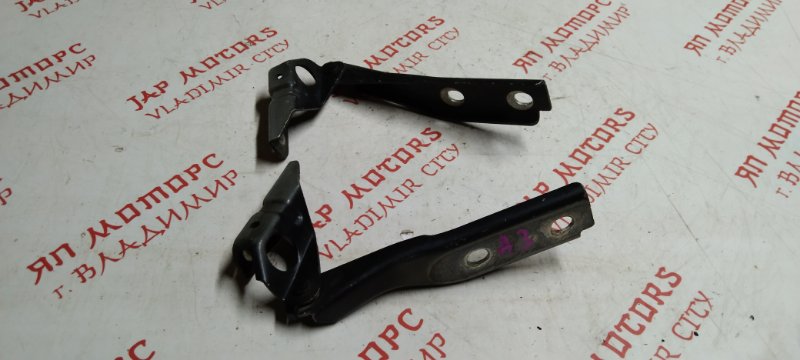 Петля капота, 1000 рублей, Владимир