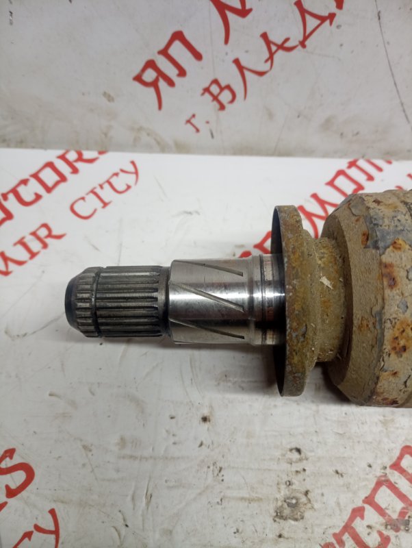 Привод, 2500 рублей, Владимир