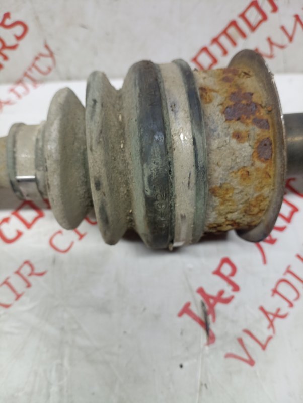 Привод, 2500 рублей, Владимир