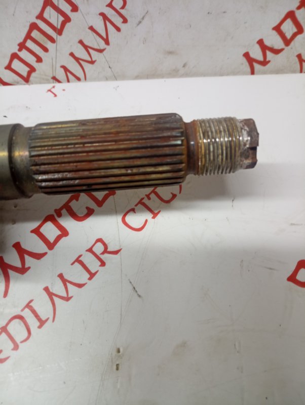 Привод, 2500 рублей, Владимир