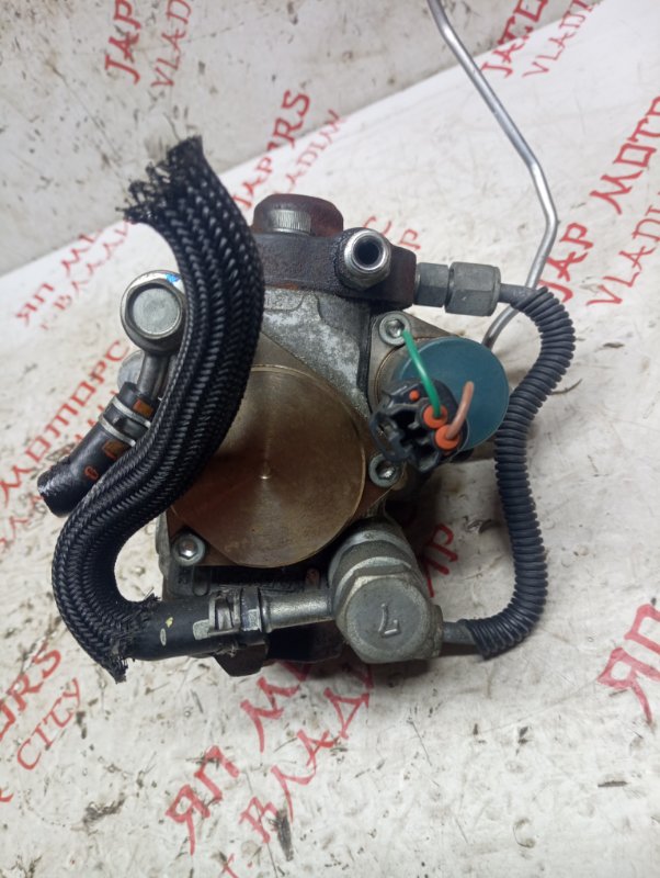 ТНВД, 10000 рублей, Владимир