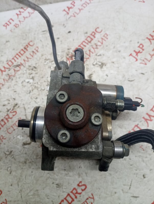 ТНВД, 10000 рублей, Владимир