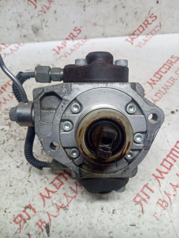 ТНВД, 10000 рублей, Владимир