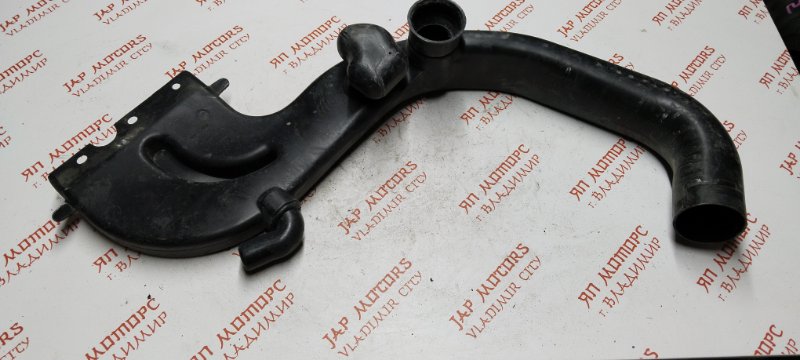 Воздухозаборник, 1000 рублей, Владимир