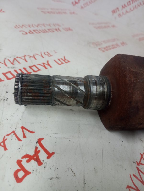 Привод, 6000 рублей, Владимир