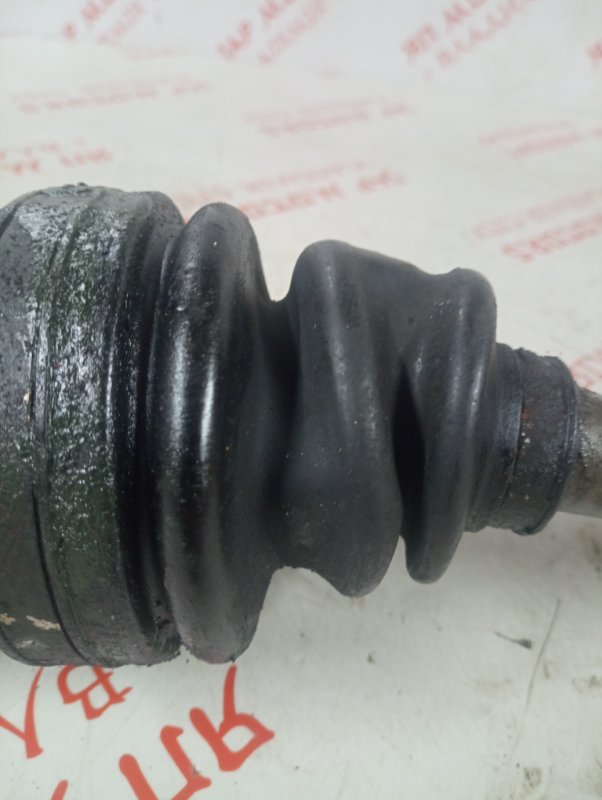 Привод, 6000 рублей, Владимир