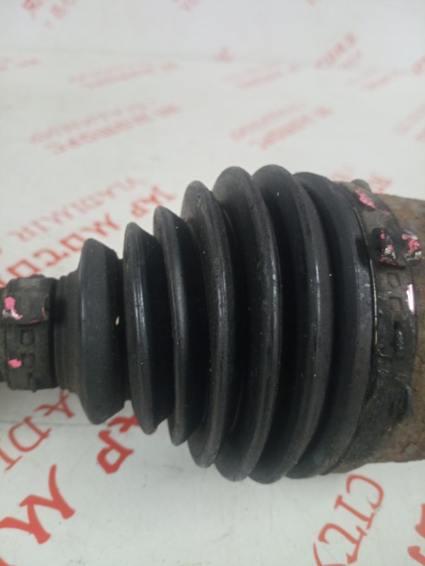 Привод, 6000 рублей, Владимир