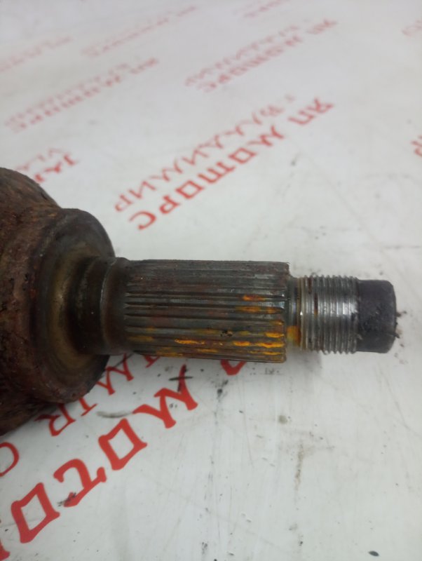 Привод, 6000 рублей, Владимир