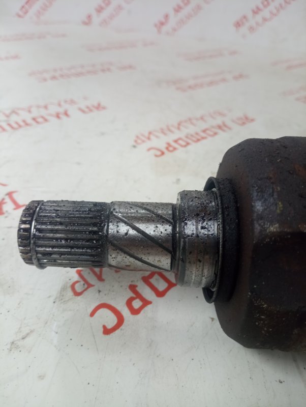 Привод, 6000 рублей, Владимир