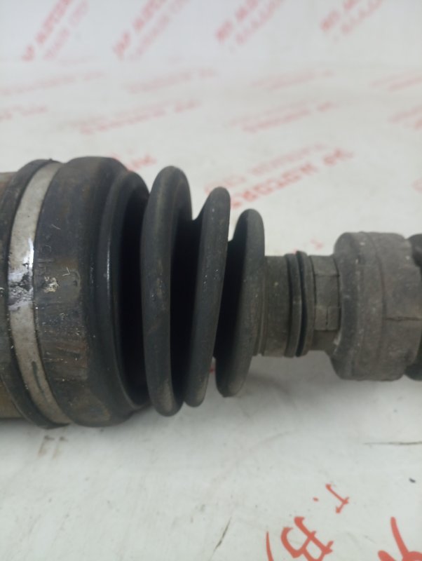 Привод, 6000 рублей, Владимир