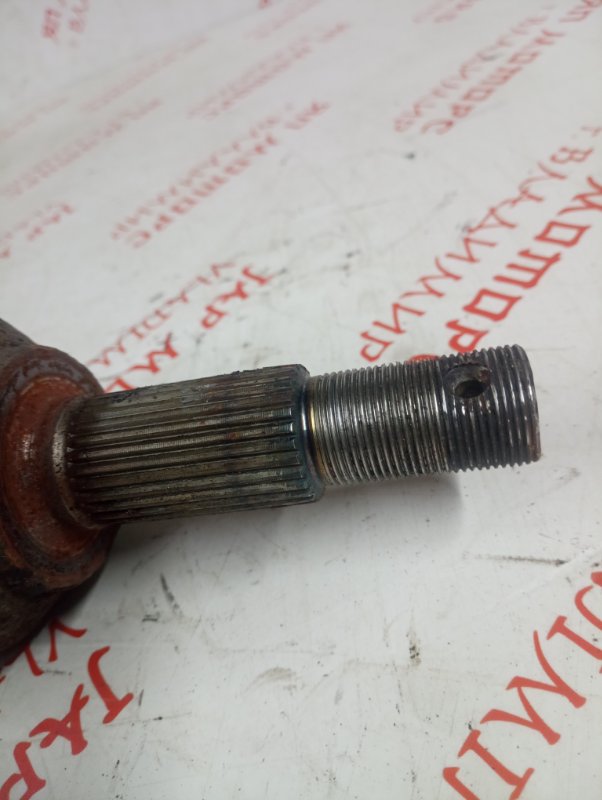 Привод, 6000 рублей, Владимир