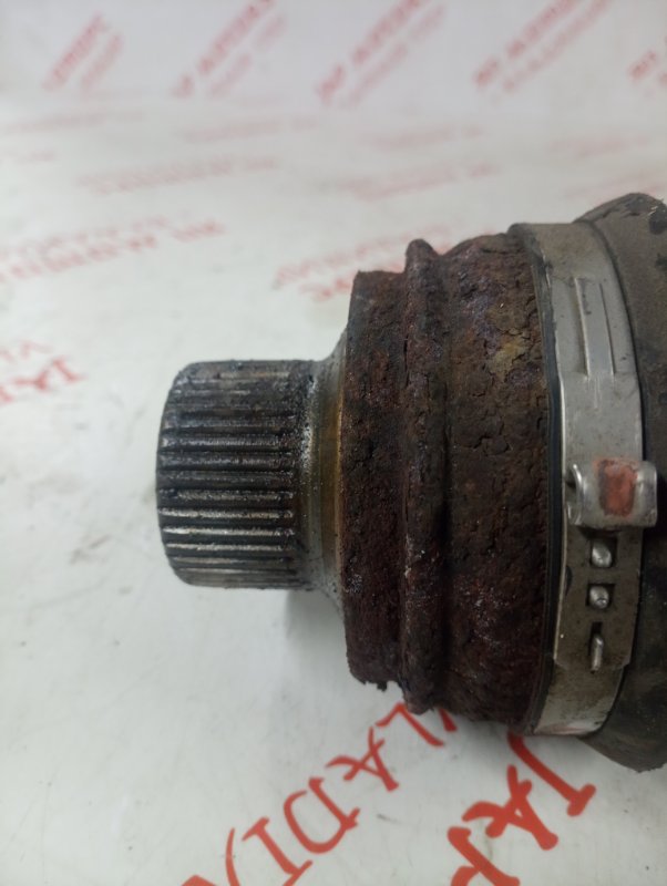 Привод, 8000 рублей, Владимир