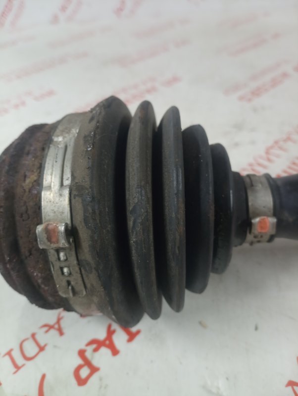 Привод, 8000 рублей, Владимир