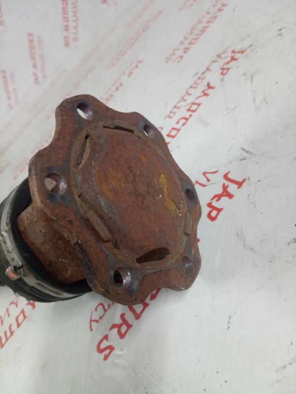 Привод, 8000 рублей, Владимир