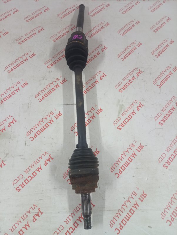 Привод, 5000 рублей, Владимир