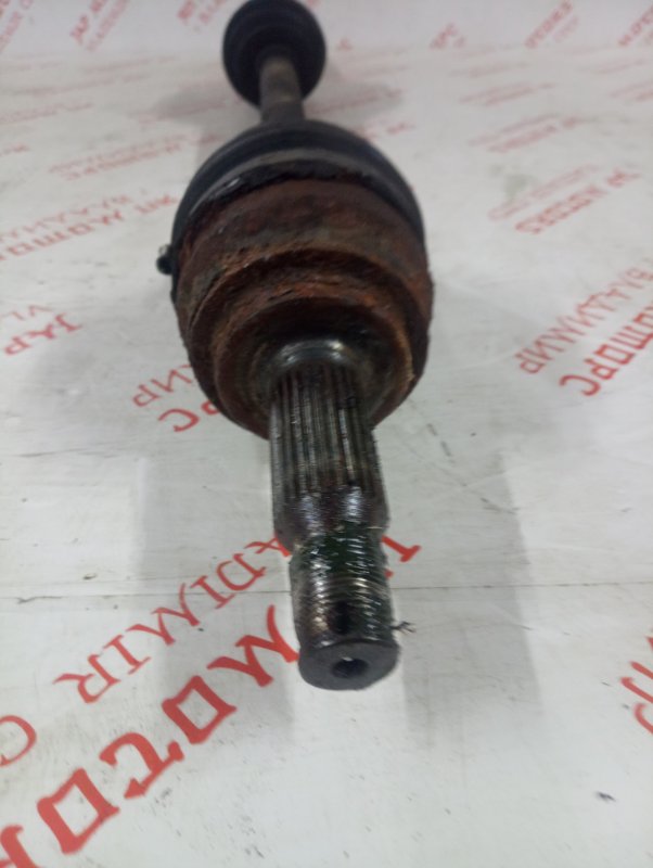 Привод, 5000 рублей, Владимир