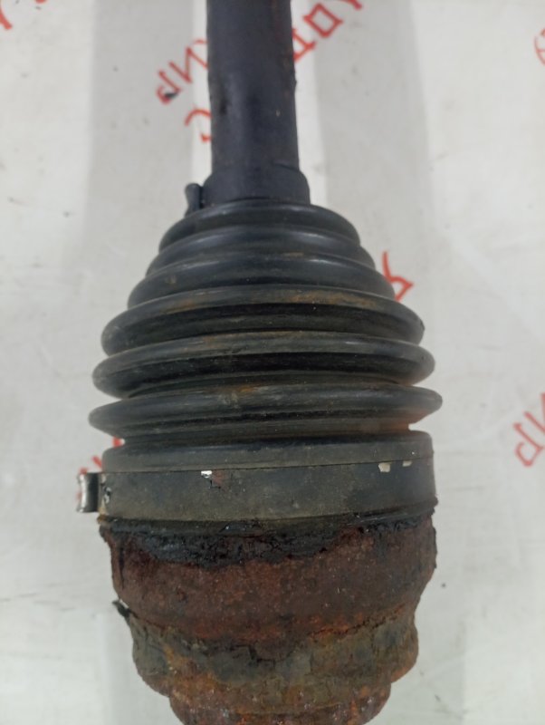 Привод, 5000 рублей, Владимир